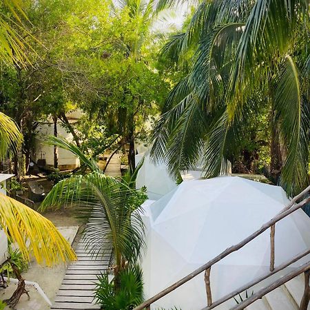 Frequency Hotell Isla Holbox Exteriör bild