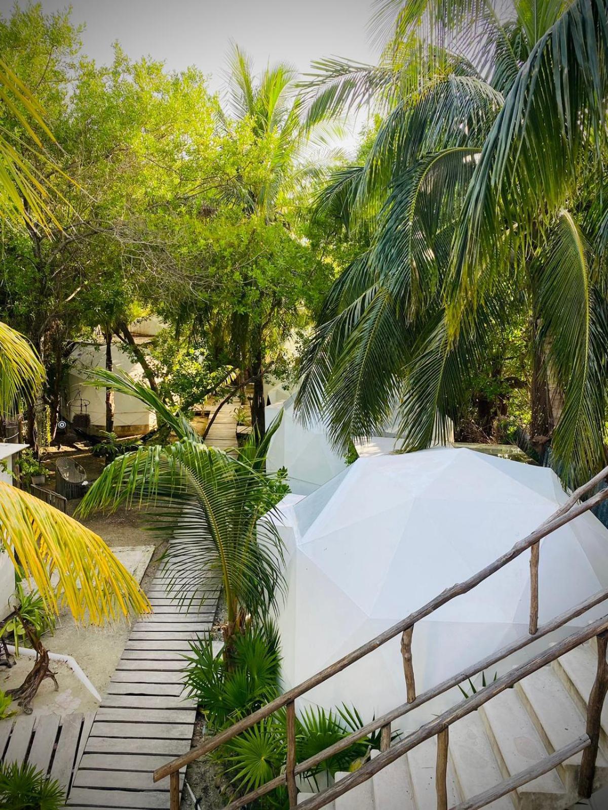 Frequency Hotell Isla Holbox Exteriör bild